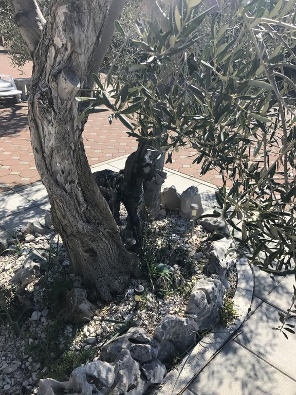 Casa Dolcevita Šibenik Kültér fotó